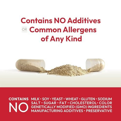ANDREW LESSMAN Essential-1 Multivitamin mit 2000 IE Vitamin D3, 30 kleine Kapseln – 100 µg Methyl B12, CoQ10, Lutein, Lycopin, Zeaxanthin. Hochdosiert. Ohne Zusätze. Ultra-mild. Eine Kapsel täglich.