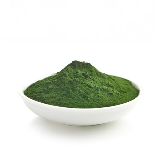 Yupik Chlorella Pulver 250 g – Superfood, Koscher, Glutenfrei, Reich an Chlorophyll, Antioxidantien, Protein, Eisen, Schwermetall-Entgifter