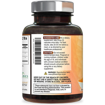 Curcumin Kapseln mit 95% Curcuminoiden, Bio Kurkuma & BioPerine Schwarzer Pfeffer – 240 Kapseln, vegan, non-GMO, hergestellt in USA