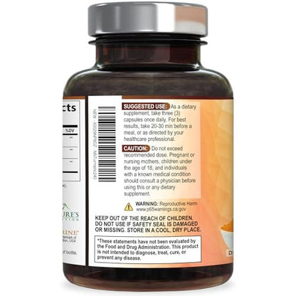 Curcumin Kapseln mit 95% Curcuminoiden, Bio Kurkuma & BioPerine Schwarzer Pfeffer – 240 Kapseln, vegan, non-GMO, hergestellt in USA