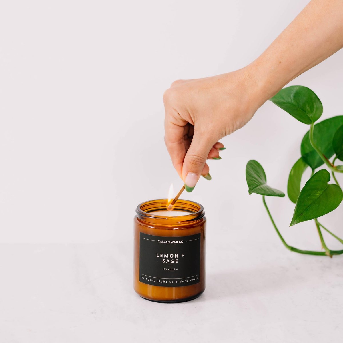 Calyan Wax Co. Cedar & Tobacco Duftkerze – 57 Stunden Brenndauer – Luxuriöse saubere Sojawachs-Kerze im Amberglas – 7,2 oz