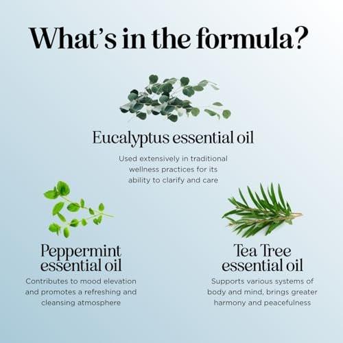 Breathe Ätherisches Öl für Diffuser - Erfrischende Mischung mit Eukalyptus, Pfefferminze, Teebaum und Minze für Aromatherapie zu Hause und unter der Dusche (30 ml)