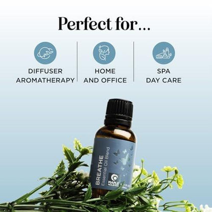 Breathe Ätherisches Öl für Diffuser - Erfrischende Mischung mit Eukalyptus, Pfefferminze, Teebaum und Minze für Aromatherapie zu Hause und unter der Dusche (30 ml)