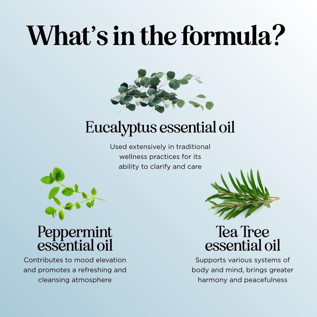 Breathe Ätherisches Öl für Diffuser - Erfrischende Mischung mit Eukalyptus, Pfefferminze, Teebaum und Minze für Aromatherapie zu Hause und unter der Dusche (30 ml)
