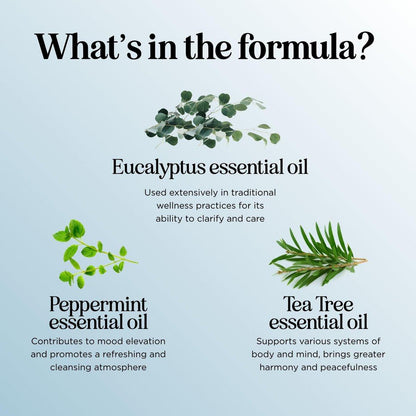 Breathe Ätherisches Öl für Diffuser - Erfrischende Mischung mit Eukalyptus, Pfefferminze, Teebaum und Minze für Aromatherapie zu Hause und unter der Dusche (30 ml)