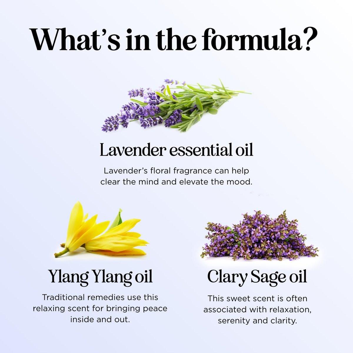 Schlaf Ätherisches Öl Blend für Diffuser - Träume Ätherische Öle für Diffuser Aromatherapie und Entspannung mit Clary Sage Ylang-Ylang Römischer Kamille und Lavendel für Schlafunterstützung (30 ml)