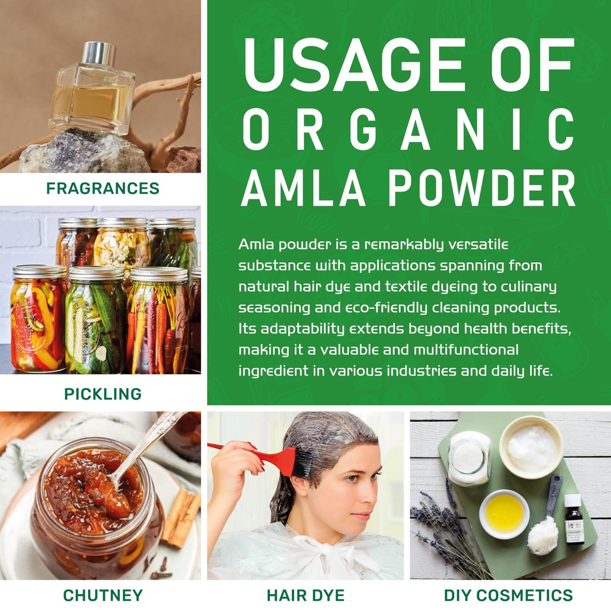 Bio Amla-Pulver 1,25 lb (20 oz) – Reines, laborgeprüftes, glutenfreies, nicht-GVO, reines Amalaki-Pulver aus Indien, Vitamin C, Bulk-Beutel, 100 % roh & natürlich – von Jiva Organics