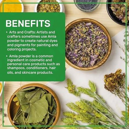 Bio Amla-Pulver 1,25 lb (20 oz) – Reines, laborgeprüftes, glutenfreies, nicht-GVO, reines Amalaki-Pulver aus Indien, Vitamin C, Bulk-Beutel, 100 % roh & natürlich – von Jiva Organics