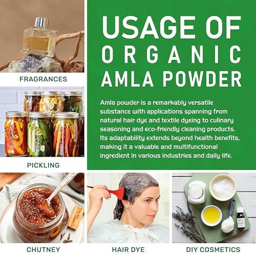 Bio Amla-Pulver 1,25 lb (20 oz) – Reines, laborgeprüftes, glutenfreies, nicht-GVO, reines Amalaki-Pulver aus Indien, Vitamin C, Bulk-Beutel, 100 % roh & natürlich – von Jiva Organics