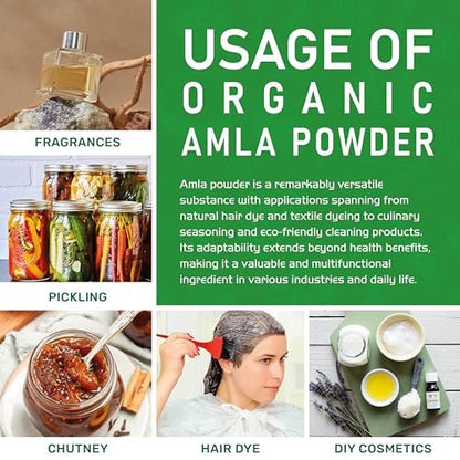 Bio Amla-Pulver 1,25 lb (20 oz) – Reines, laborgeprüftes, glutenfreies, nicht-GVO, reines Amalaki-Pulver aus Indien, Vitamin C, Bulk-Beutel, 100 % roh & natürlich – von Jiva Organics