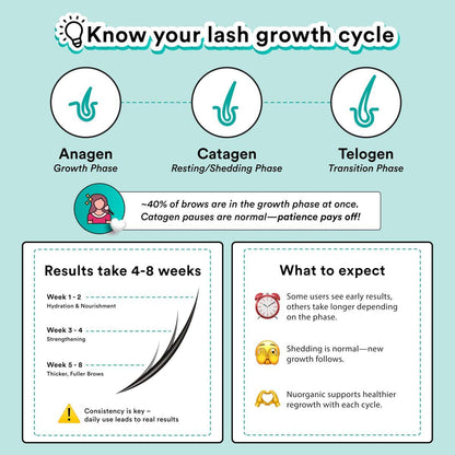 NuOrganic Cosmic Brow Augenbrauenserum für Wachstum | Natürliches Brow Serum für dichtere, längere und definiertere Brauen | 4 Monate Vorrat XL Größe | Tierversuchsfrei, Hergestellt in den USA