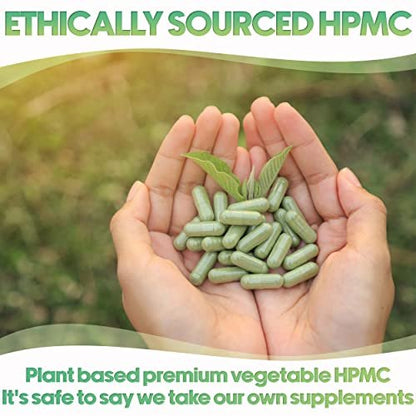 XPRS Nutra Größe 1 Leere Kapseln - 500 Stück Klare Leere Vegane Kapseln - Vegetarische Pillen - DIY Gemüsekapsel Befüllung - Veggie Pill Caps für Selbstgemachte Ergänzungsmittel