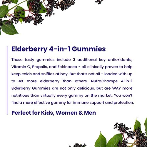 NutraChamps Holunderbeeren Gummibärchen mit Vitamin C, Propolis & Echinacea – Immunsystem Unterstützung für Erwachsene & Kinder – Max Stärke 200mg Sambucus Antioxidans, 60 Stück