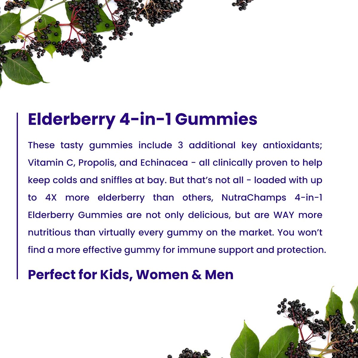 NutraChamps Holunderbeeren Gummibärchen mit Vitamin C, Propolis & Echinacea – Immunsystem Unterstützung für Erwachsene & Kinder – Max Stärke 200mg Sambucus Antioxidans, 60 Stück