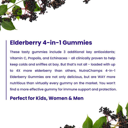 NutraChamps Holunderbeeren Gummibärchen mit Vitamin C, Propolis & Echinacea – Immunsystem Unterstützung für Erwachsene & Kinder – Max Stärke 200mg Sambucus Antioxidans, 60 Stück
