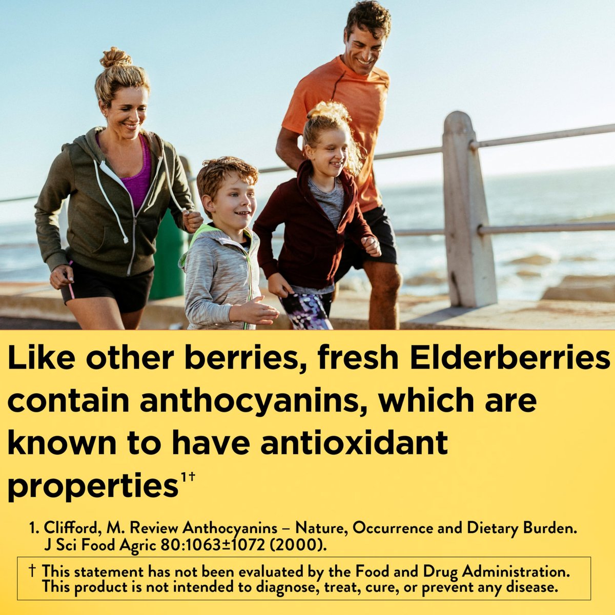 Nature Made Holunderbeeren Gummibärchen mit Vitamin C und Zink – Nahrungsergänzungsmittel für Immununterstützung, 60 Gummibärchen, 30-Tage-Versorgung