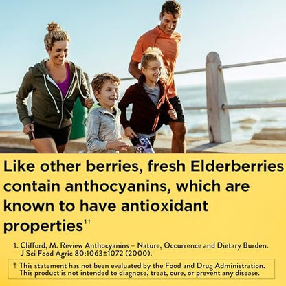Nature Made Holunderbeeren Gummibärchen mit Vitamin C und Zink – Nahrungsergänzungsmittel für Immununterstützung, 60 Gummibärchen, 30-Tage-Versorgung