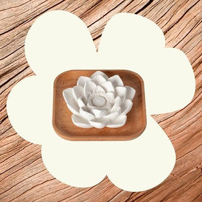 Plant Therapy Passiver Lotusblüten Aromatherapie Diffuser – Stilvoller und natürlicher Öldiffuser für Zuhause, Büro und Reisen