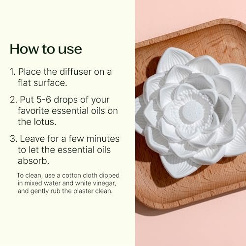 Plant Therapy Passiver Lotusblüten Aromatherapie Diffuser – Stilvoller und natürlicher Öldiffuser für Zuhause, Büro und Reisen