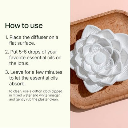 Plant Therapy Passiver Lotusblüten Aromatherapie Diffuser – Stilvoller und natürlicher Öldiffuser für Zuhause, Büro und Reisen