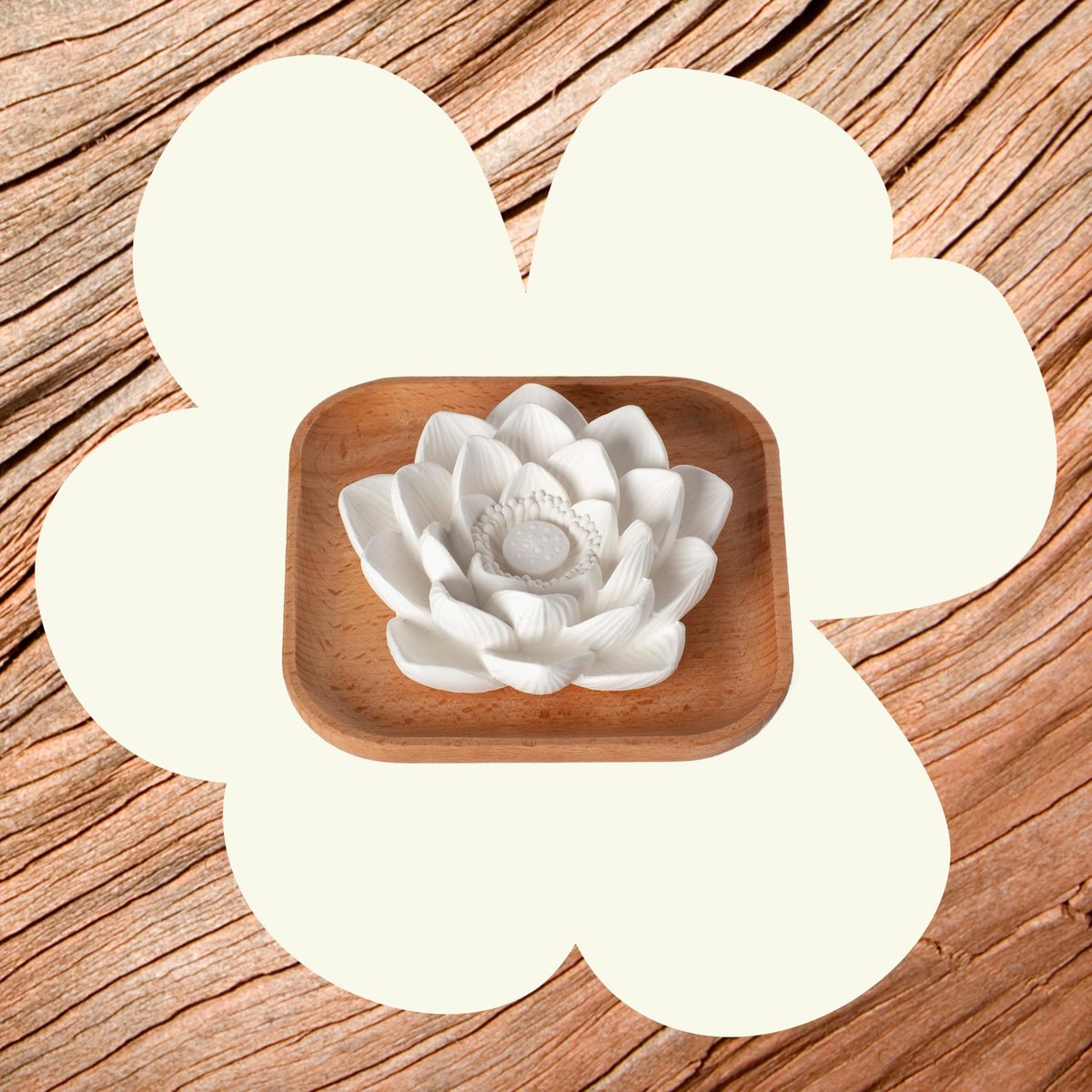 Plant Therapy Passiver Lotusblüten Aromatherapie Diffuser – Stilvoller und natürlicher Öldiffuser für Zuhause, Büro und Reisen