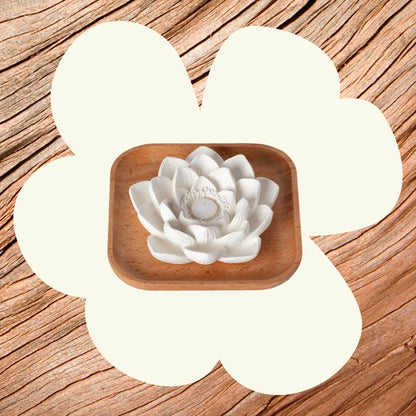 Plant Therapy Passiver Lotusblüten Aromatherapie Diffuser – Stilvoller und natürlicher Öldiffuser für Zuhause, Büro und Reisen