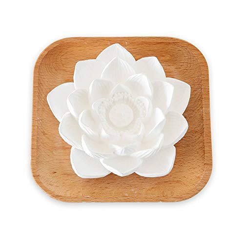 Plant Therapy Passiver Lotusblüten Aromatherapie Diffuser – Stilvoller und natürlicher Öldiffuser für Zuhause, Büro und Reisen