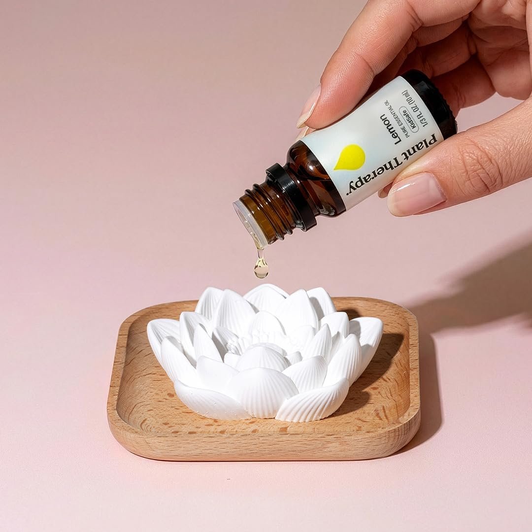 Plant Therapy Passiver Lotusblüten Aromatherapie Diffuser – Stilvoller und natürlicher Öldiffuser für Zuhause, Büro und Reisen