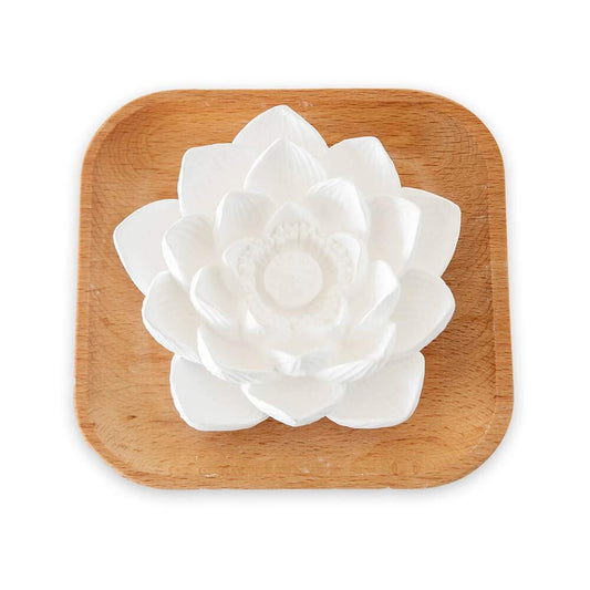 Plant Therapy Passiver Lotusblüten Aromatherapie Diffuser – Stilvoller und natürlicher Öldiffuser für Zuhause, Büro und Reisen