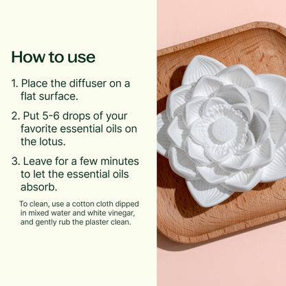 Plant Therapy Passiver Lotusblüten Aromatherapie Diffuser – Stilvoller und natürlicher Öldiffuser für Zuhause, Büro und Reisen