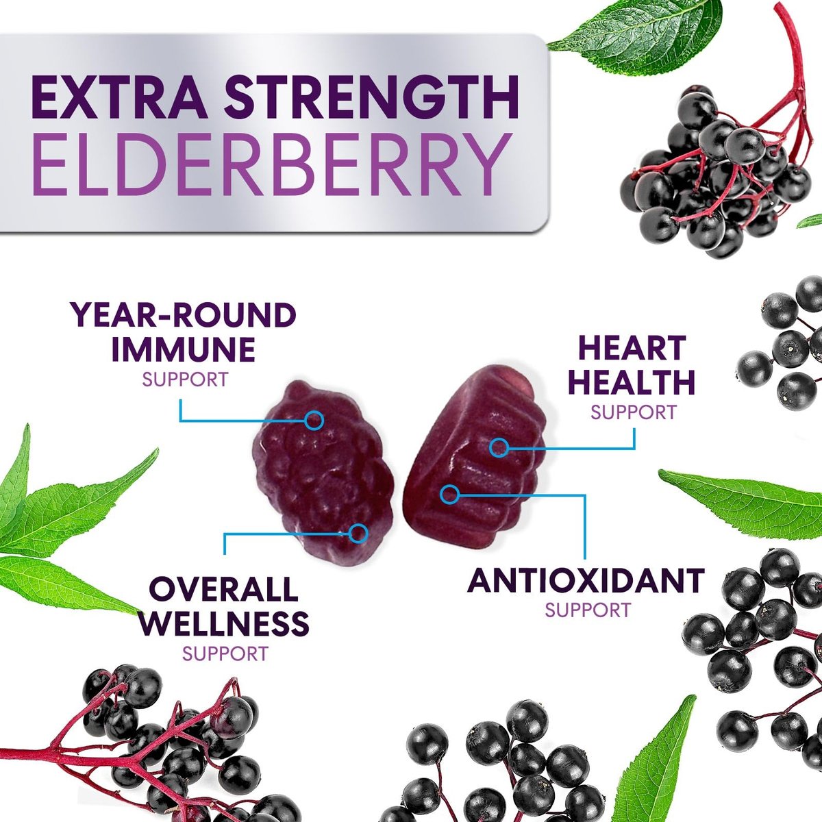 Holunderbeeren Gummies - 3X Stärke Schwarzer Holunder Immununterstützung Gummibärchen mit Vitamin C, D3 und Zink für Kinder & Erwachsene, Immunsystem Stärkung Nahrungsergänzungsmittel, Holunderbeer Vitamine - 60 Gummies
