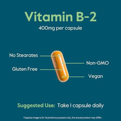 BESTVITE Vitamin B2 (Riboflavin) 400 mg – 120 vegane Kapseln – Hochdosiert für Energie, Haut & Zellgesundheit – Unterstützt das Nervensystem – Vegan, Nicht-GVO, Glutenfrei