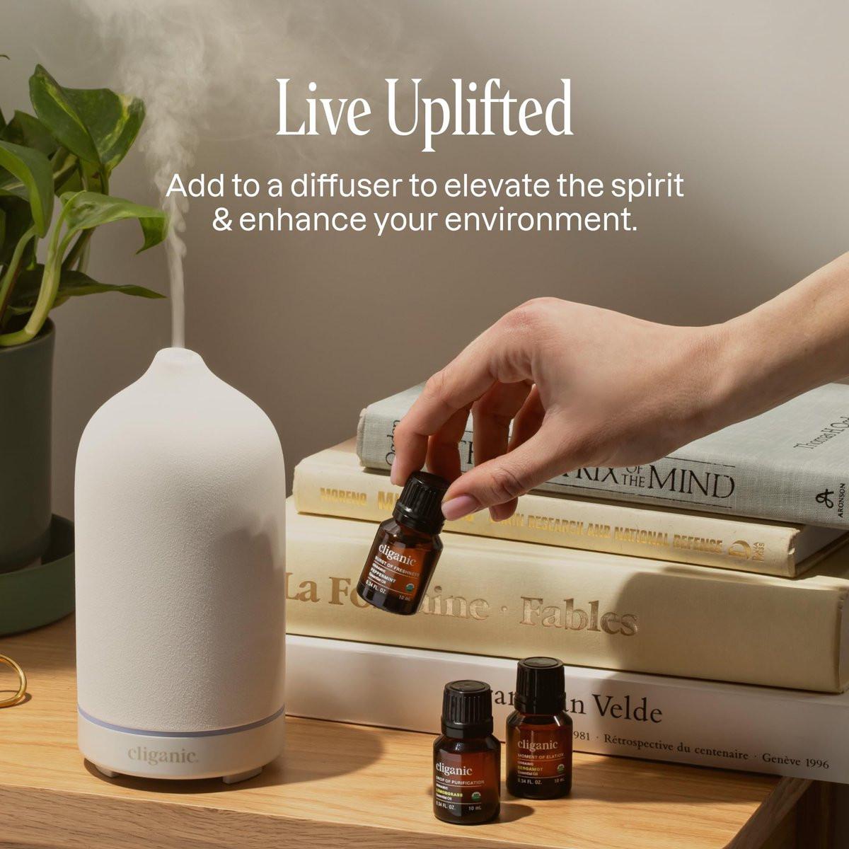 Cliganic Bio Rosmarinöl, 100% rein natürlich, für Haare, Haut, Aromatherapie | Non-GMO zertifiziert