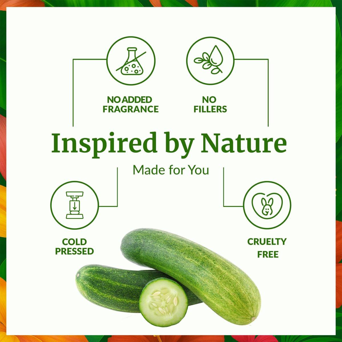 SVA Cucumber Seed Oil - 100% natürliches kaltgepresstes Gurkenöl für Gesicht, Haut, Haare und Massage - 118 ml mit Pipette