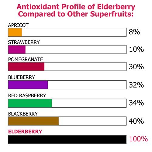 ECO-TASTE Holunderbeeren Kapseln mit Zink & Vitamin C - 120 Kapseln, Sambucus Holunderbeeren für Immununterstützung, Hautgesundheit - Vegane Kapseln