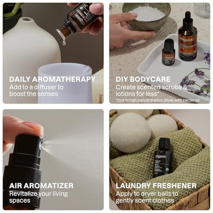 Cliganic Bio Aromatherapie Ätherische Öle Set (Top 6 - Die Essentials), 100% rein natürlich - Pfefferminze, Lavendel, Eukalyptus, Teebaum, Zitronengras & Orange (Verpackung kann variieren)