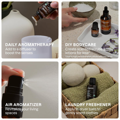 Cliganic Bio Aromatherapie Ätherische Öle Set (Top 6 - Die Essentials), 100% rein natürlich - Pfefferminze, Lavendel, Eukalyptus, Teebaum, Zitronengras & Orange (Verpackung kann variieren)