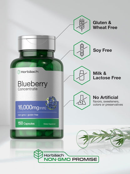 Horbäach Blaubeere Extrakt Nahrungsergänzungsmittel | 150 Kapseln | Blaubeerkonzentrat | Non-GMO & Glutenfrei