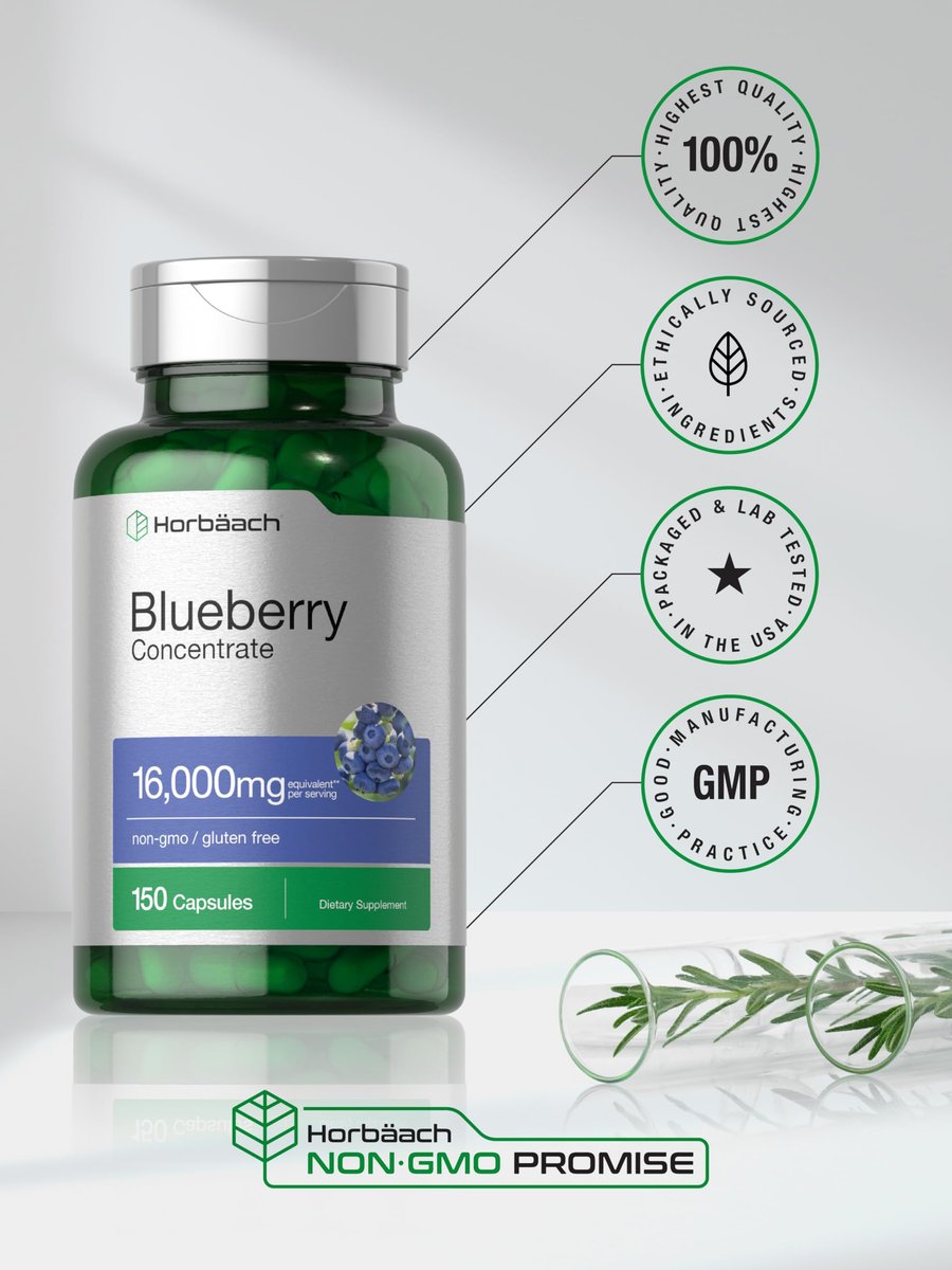Horbäach Blaubeere Extrakt Nahrungsergänzungsmittel | 150 Kapseln | Blaubeerkonzentrat | Non-GMO & Glutenfrei