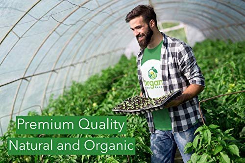 Bio Ashwagandha Wurzelpulver - 1,10 Pfund (17,64 Unzen) | Nachfüllbarer Kraftbeutel, Nicht-GVO, Indischer Ginseng, Withania Somnifera - 100% Roh aus Indien