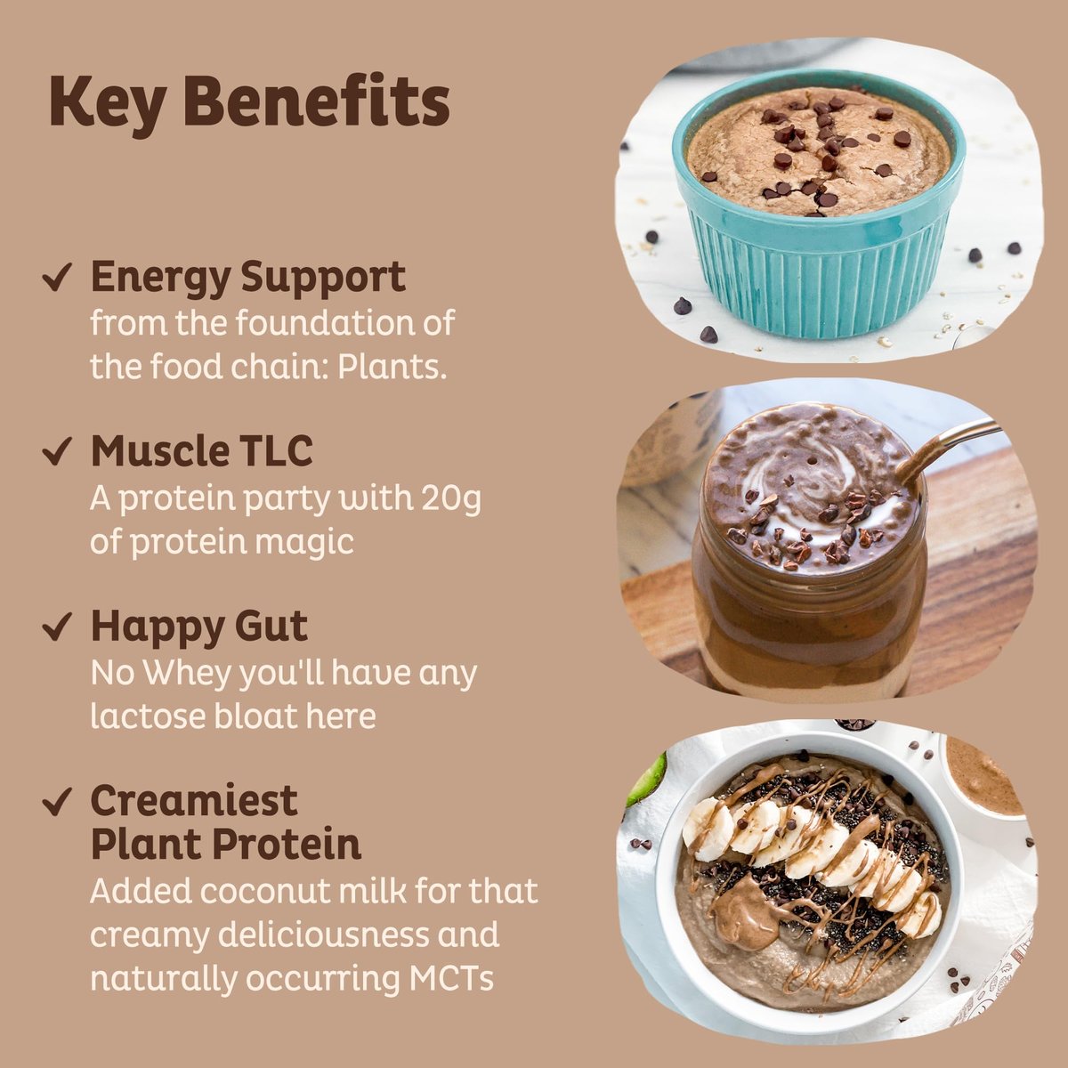 KOS Bio pflanzliches Proteinpulver, Schokolade USDA Organic - Low Carb Erbsenprotein-Mix, veganes Superfood mit Vitaminen & Mineralstoffen - Keto, Soja- & milchfrei - Mahlzeitenersatz für Frauen & Männer - 15 Portionen