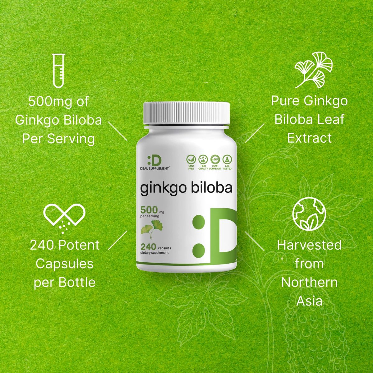DEAL SUPPLEMENT Ginkgo Biloba 500 mg pro Portion, 240 Kapseln, 4-Monats-Vorrat – Anbau in Nordasien – Extra Stärke, Fördert die Gehirnfunktion