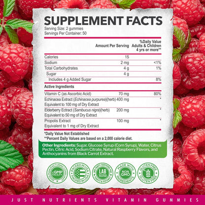 Holunderbeeren 200mg Gummies mit Vitamin C, Echinacea, Propolis (100 Stück) – Immununterstützung für Erwachsene & Kinder – Höchste Stärke, Himbeergeschmack – Glutenfrei, Vegan