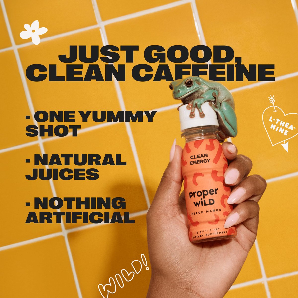 Proper Wild Vegane Energy Shots mit L-Theanin & Bio-Koffein – Pfirsich Mango, 2,5 Fl Oz (6er-Pack)