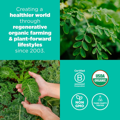 Navitas Organics Superfood+ Greens Blend – Bio-Mischung mit Moringa, Grünkohl & Weizengras für die Entgiftung, 180 g Beutel, 30 Portionen