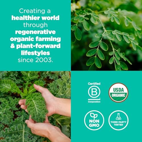 Navitas Organics Superfood+ Greens Blend – Bio-Mischung mit Moringa, Grünkohl & Weizengras für die Entgiftung, 180 g Beutel, 30 Portionen