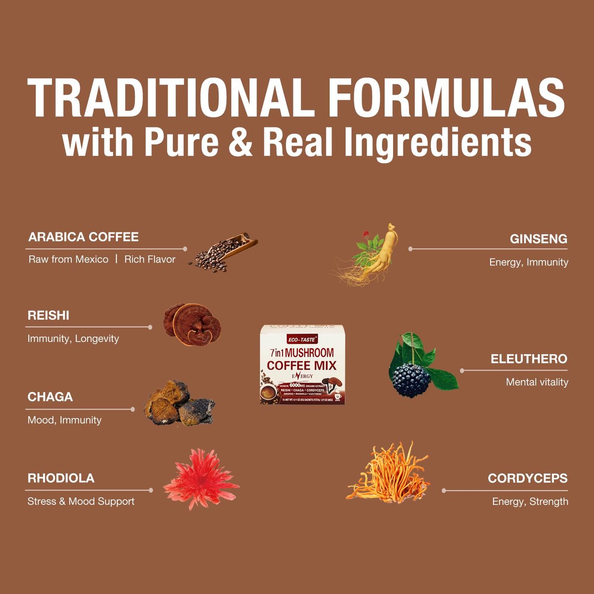 ECO-TASTE 7-in-1 Pilz-Kaffee-Mix – Mit Reishi, Cordyceps, Chaga, Rhodiola, Ginseng & Eleuthero – 12 Portionsbeutel