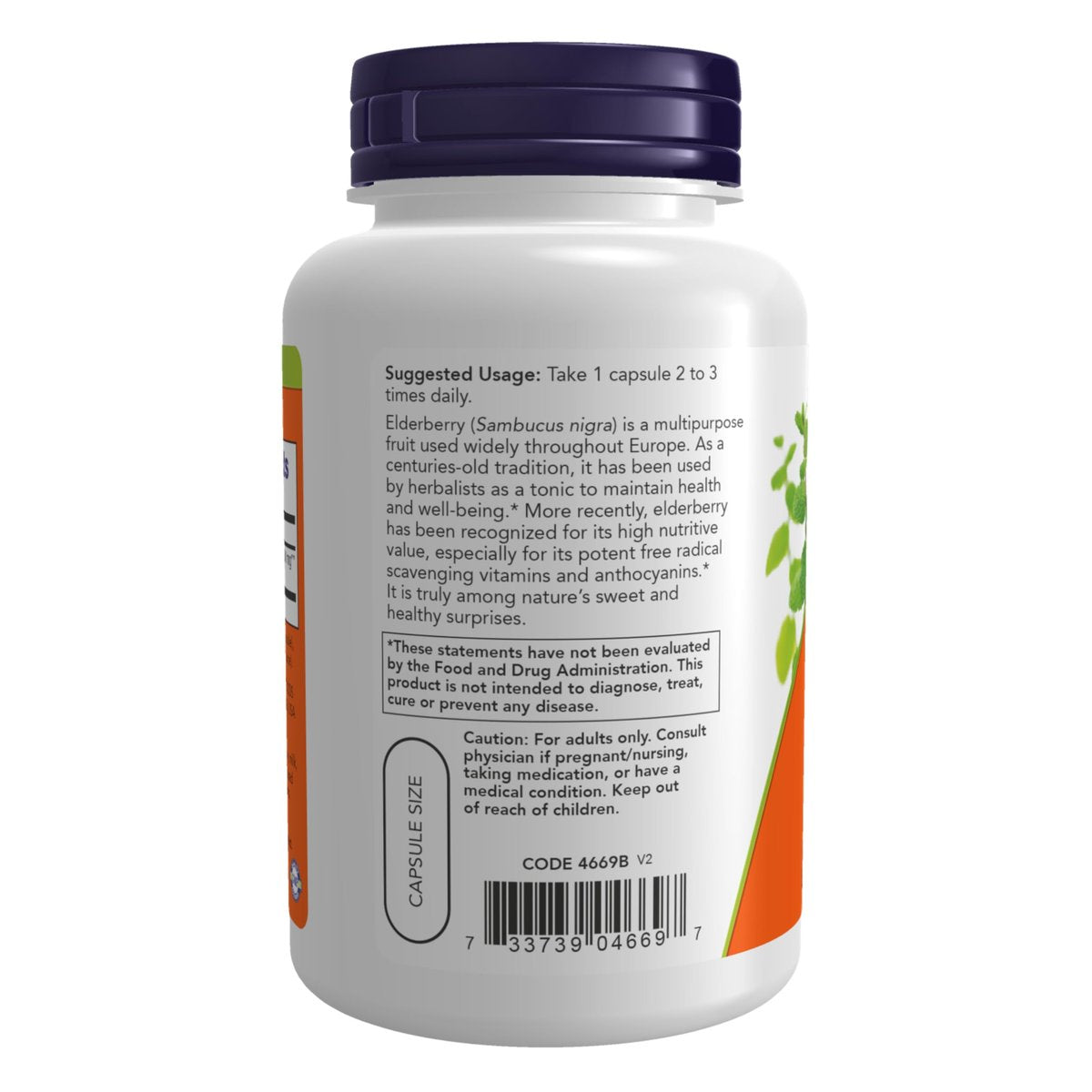 NOW Foods Holunderbeeren (Sambucus nigra) 500 mg, 10:1 Konzentrat, 120 vegane Kapseln