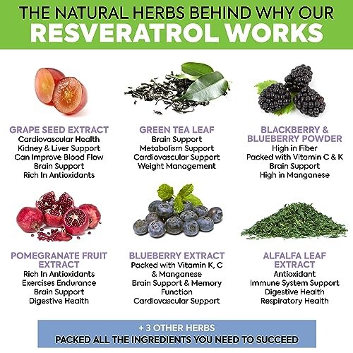 Extra Starkes Resveratrol 1568 mg – 180 Kapseln – 3 Monate Vorrat | Antioxidans Nahrungsergänzungsmittel | Natürliche Trans-Resveratrol-Pillen | Für Anti-Aging, Herzgesundheit, Immunsystem & Gehirnfunktion