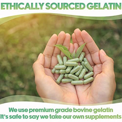XPRS Nutra Größe 3 Leere Kapseln – 100 Stück Klare leere Gelatinekapseln – DIY Kapselbefüllung – Reine Rindergelatinekapseln für selbstgemachte Vitamine und Nahrungsergänzungsmittel